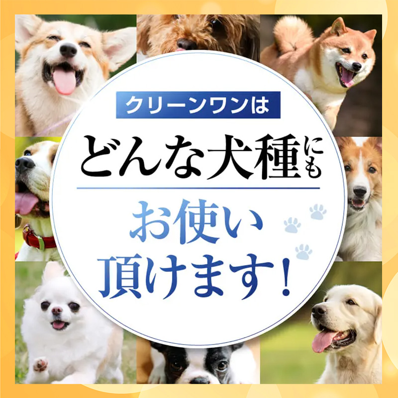 金箔込み